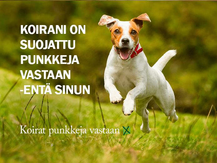Käy koiratpunkkejavastaan.fi -sivustolla.
Koirani on suojattu punkkeja vastaan -enta sinun. Koirat punkkeja vastaan.